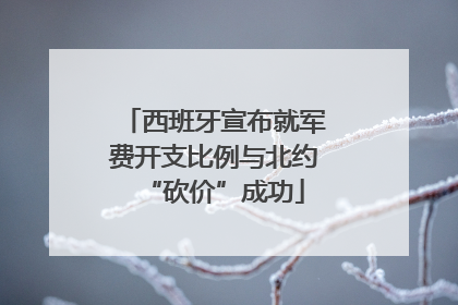 西班牙宣布就军费开支比例与北约“砍价”成功